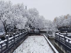 -洛阳白马寺