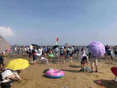 -碧海金沙