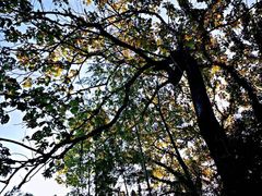 -重庆雨台山风景区