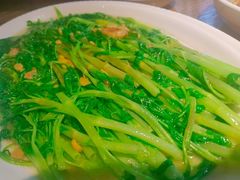 豆酱空心菜-潮中人·潮州菜(益乐路店)
