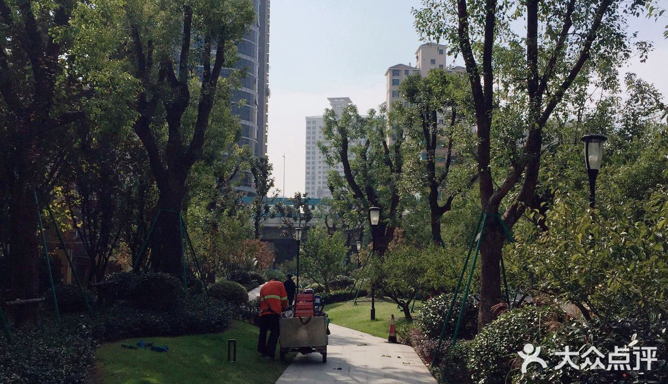 梅兰竹菊诗情画意——清风园（菊花盛开中）