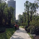 梅兰竹菊诗情画意——清风园（菊花盛开中）