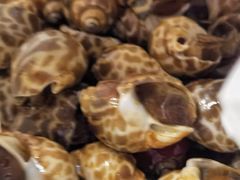 -隆福寺小吃店(东四店)