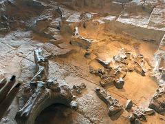 -自贡恐龙博物馆