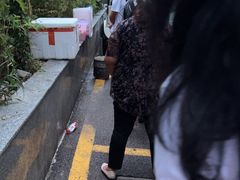-六广门毛阿姨糯米饭