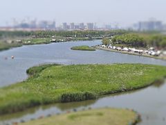 -春花秋色城市公园