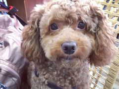-苏州人家(锦溪镇店)
