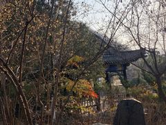 -长安文化生态公园