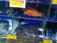 -宁海食府(大剧院店)
