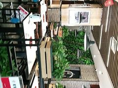 -虎门国际购物中心