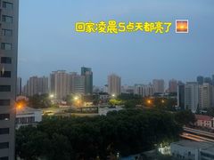 -清真高老大牛排胡辣汤(嵩山路总店)