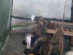 -无锡动物园·太湖欢乐园