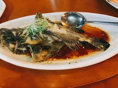 清蒸老虎斑-南海渔家•海鲜•正宗海南菜(海棠湾店)