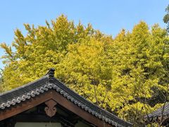 -西湖风景区十里琅珰-五云山