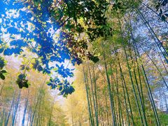 -兰亭风景区
