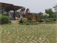 -上海长兴岛郊野公园