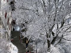 -华山风景名胜区