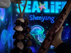 -沈阳海洋探索中心