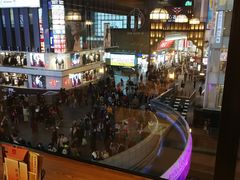 -蟹道乐(道顿堀本店)