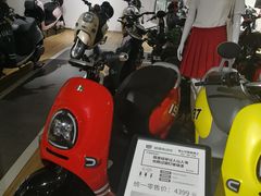 -绿源电动车(胜利路专卖店)