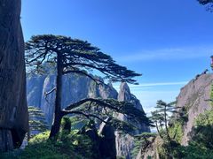 -黄山风景区