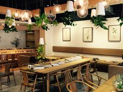 -柴务处·柴犬主题狗咖