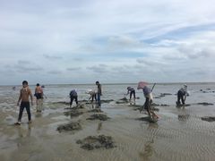 -北海金海湾红树林生态旅游区