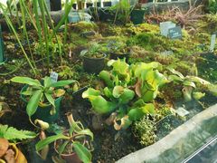 -国家植物园南园