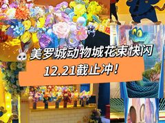 -美罗城
