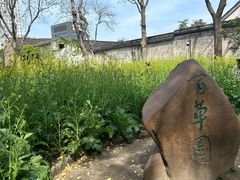 -绍兴鲁迅故里·沈园景区