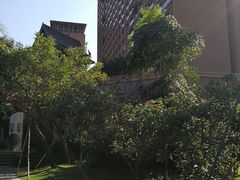-三亚湾红树林度假世界(木棉酒店)