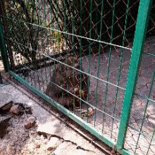 -泉州海丝野生动物世界