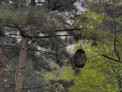 -六鼎山文化旅游区