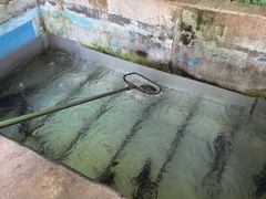 -姥家大锅台水库渔家