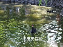 -蓝田印象