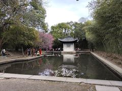 -兰亭风景区