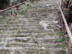 -天女山森林公园