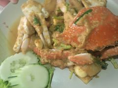 -Jungle Kitchen