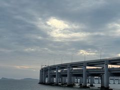 -星海湾跨海大桥