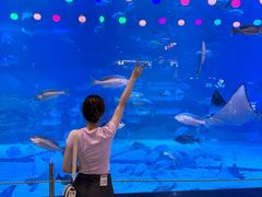 -烟台海昌鲸鲨海洋公园