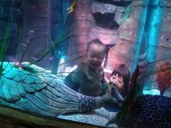 -沈阳海洋探索中心