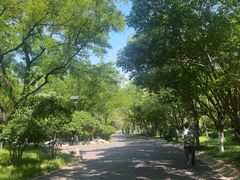 -千佛山风景名胜区