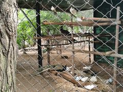 -大鹅岛绿色生态美食园