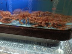 -阿伟海鲜楼·福建菜(延寿店)