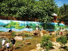 -广州白江湖森林公园