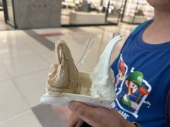 -野人先生Gelato(上海长宁龙之梦店)