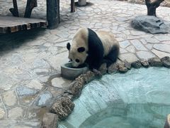 -乐和乐都主题乐园