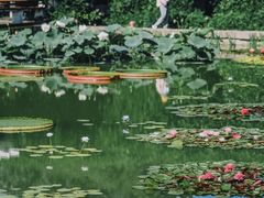 -国家植物园南园