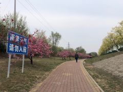 -白水寺森林公园