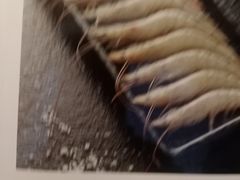 -额尔敦牛厨师铜板烧